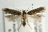  ( - UKLB40A01)  @13 [ ] CreativeCommons - Attribution (2009) Unspecified Centre for Biodiversity Genomics