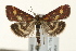  ( - UKLB41A08)  @14 [ ] CreativeCommons - Attribution (2009) Unspecified Centre for Biodiversity Genomics