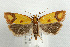  ( - UKLB40B05)  @15 [ ] CreativeCommons - Attribution (2009) Unspecified Centre for Biodiversity Genomics
