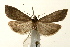  ( - UKLB41B02)  @14 [ ] CreativeCommons - Attribution (2009) Unspecified Centre for Biodiversity Genomics