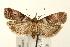  ( - UKLB41B08)  @13 [ ] CreativeCommons - Attribution (2009) Unspecified Centre for Biodiversity Genomics