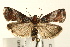  ( - UKLB41B09)  @14 [ ] CreativeCommons - Attribution (2009) Unspecified Centre for Biodiversity Genomics