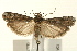  ( - UKLB41B10)  @13 [ ] CreativeCommons - Attribution (2009) Unspecified Centre for Biodiversity Genomics