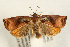  ( - UKLB40C02)  @13 [ ] CreativeCommons - Attribution (2009) Unspecified Centre for Biodiversity Genomics