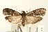  ( - UKLB41C03)  @14 [ ] CreativeCommons - Attribution (2009) Unspecified Centre for Biodiversity Genomics
