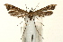  ( - UKLB41C06)  @14 [ ] CreativeCommons - Attribution (2009) Unspecified Centre for Biodiversity Genomics