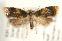  ( - UKLB40D03)  @14 [ ] CreativeCommons - Attribution (2009) Unspecified Centre for Biodiversity Genomics