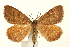  ( - UKLB41D08)  @13 [ ] CreativeCommons - Attribution (2009) Unspecified Centre for Biodiversity Genomics