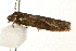  ( - UKLB41E01)  @13 [ ] CreativeCommons - Attribution (2009) Unspecified Centre for Biodiversity Genomics