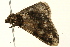 ( - UKLB41E03)  @12 [ ] CreativeCommons - Attribution (2009) Unspecified Centre for Biodiversity Genomics