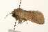  ( - UKLB41F01)  @12 [ ] CreativeCommons - Attribution (2009) Unspecified Centre for Biodiversity Genomics