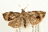  ( - UKLB40F06)  @13 [ ] CreativeCommons - Attribution (2009) Unspecified Centre for Biodiversity Genomics