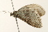  ( - UKLB41F07)  @13 [ ] CreativeCommons - Attribution (2009) Unspecified Centre for Biodiversity Genomics
