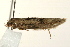  ( - UKLB41F10)  @12 [ ] CreativeCommons - Attribution (2009) Unspecified Centre for Biodiversity Genomics