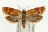  ( - UKLB40F11)  @14 [ ] CreativeCommons - Attribution (2009) Unspecified Centre for Biodiversity Genomics