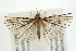  ( - UKLB40G09)  @14 [ ] CreativeCommons - Attribution (2009) Unspecified Centre for Biodiversity Genomics