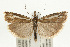  ( - UKLB40H01)  @14 [ ] CreativeCommons - Attribution (2009) Unspecified Centre for Biodiversity Genomics