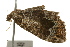  ( - UKLB41H04)  @12 [ ] CreativeCommons - Attribution (2009) Unspecified Centre for Biodiversity Genomics