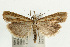  ( - UKLB40H06)  @14 [ ] CreativeCommons - Attribution (2009) Unspecified Centre for Biodiversity Genomics