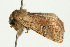  ( - UKLB39A02)  @12 [ ] CreativeCommons - Attribution (2009) Unspecified Centre for Biodiversity Genomics