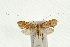  ( - UKLB39A09)  @14 [ ] CreativeCommons - Attribution (2009) Unspecified Centre for Biodiversity Genomics