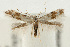  ( - UKLB39B05)  @14 [ ] CreativeCommons - Attribution (2009) Unspecified Centre for Biodiversity Genomics