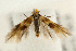  ( - UKLB39B06)  @13 [ ] CreativeCommons - Attribution (2009) Unspecified Centre for Biodiversity Genomics
