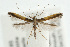  ( - UKLB39B09.fail1)  @11 [ ] CreativeCommons - Attribution (2009) Unspecified Centre for Biodiversity Genomics