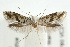  ( - UKLB39C10)  @12 [ ] CreativeCommons - Attribution (2009) Unspecified Centre for Biodiversity Genomics