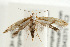 ( - UKLB39C12)  @14 [ ] CreativeCommons - Attribution (2009) Unspecified Centre for Biodiversity Genomics