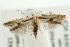  ( - UKLB39D01)  @11 [ ] CreativeCommons - Attribution (2009) Unspecified Centre for Biodiversity Genomics
