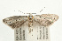  ( - UKLB39D03)  @11 [ ] CreativeCommons - Attribution (2009) Unspecified Centre for Biodiversity Genomics