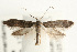  ( - UKLB39D07)  @13 [ ] CreativeCommons - Attribution (2009) Unspecified Centre for Biodiversity Genomics