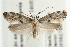  ( - UKLB39D08)  @13 [ ] CreativeCommons - Attribution (2009) Unspecified Centre for Biodiversity Genomics