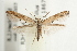 ( - UKLB39E03.fail1)  @11 [ ] CreativeCommons - Attribution (2009) Unspecified Centre for Biodiversity Genomics