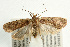  ( - UKLB39G12)  @14 [ ] CreativeCommons - Attribution (2009) Unspecified Centre for Biodiversity Genomics