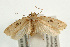  ( - UKLB39H01)  @14 [ ] CreativeCommons - Attribution (2009) Unspecified Centre for Biodiversity Genomics