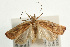  ( - UKLB39H02)  @13 [ ] CreativeCommons - Attribution (2009) Unspecified Centre for Biodiversity Genomics