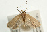  ( - UKLB39H03)  @13 [ ] CreativeCommons - Attribution (2009) Unspecified Centre for Biodiversity Genomics