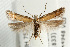  ( - UKLB39H07)  @14 [ ] CreativeCommons - Attribution (2009) Unspecified Centre for Biodiversity Genomics