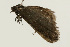  ( - UKLB38A04)  @13 [ ] CreativeCommons - Attribution (2009) Unspecified Centre for Biodiversity Genomics