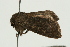  ( - UKLB38A08)  @12 [ ] CreativeCommons - Attribution (2009) Unspecified Centre for Biodiversity Genomics