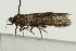 ( - UKLB38A10)  @13 [ ] CreativeCommons - Attribution (2009) Unspecified Centre for Biodiversity Genomics
