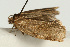  ( - UKLB38B10)  @12 [ ] CreativeCommons - Attribution (2009) Unspecified Centre for Biodiversity Genomics