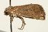 ( - UKLB38D01)  @12 [ ] CreativeCommons - Attribution (2009) Unspecified Centre for Biodiversity Genomics