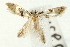  ( - UKLB43A06)  @14 [ ] CreativeCommons - Attribution (2009) Unspecified Centre for Biodiversity Genomics