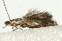  ( - UKLB43A07)  @12 [ ] CreativeCommons - Attribution (2009) Unspecified Centre for Biodiversity Genomics