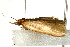  ( - UKLB43A09)  @13 [ ] CreativeCommons - Attribution (2009) Unspecified Centre for Biodiversity Genomics
