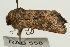  ( - UKLB38F10)  @11 [ ] CreativeCommons - Attribution (2009) Unspecified Centre for Biodiversity Genomics