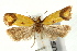  ( - UKLB43C02)  @13 [ ] CreativeCommons - Attribution (2009) Unspecified Centre for Biodiversity Genomics